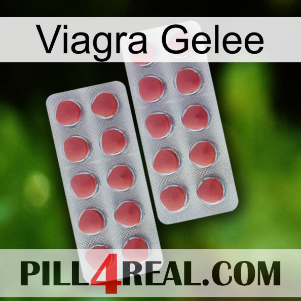 Viagra Jelly 19